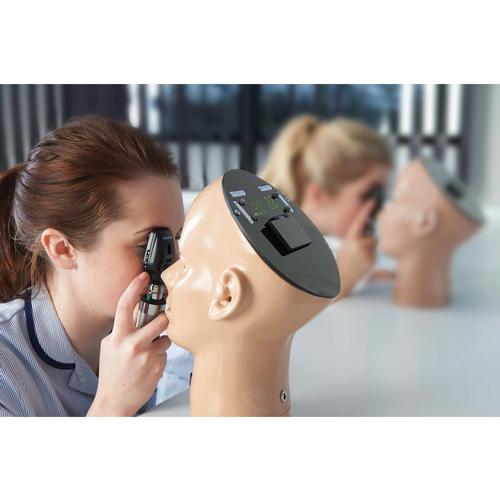 Digital Eye Retinopathy Trainer, Light, 1019198, Enquête oto-rhino-laryngologiste (ORL)