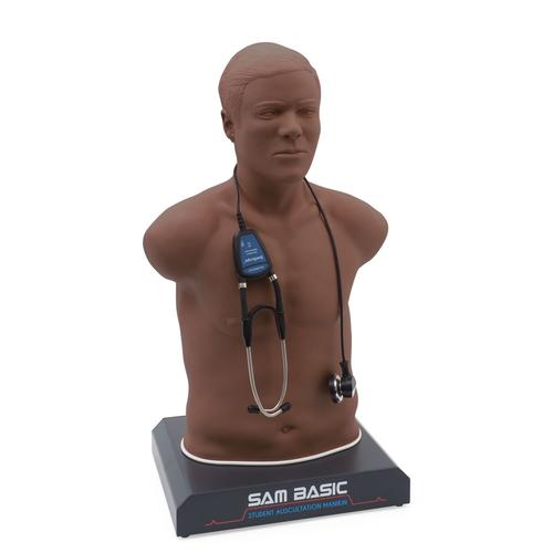 SAM Basic® - Affordable Adult Auscultation Manikin 基础版听诊训练模型,深色皮肤, 1022474, 听诊