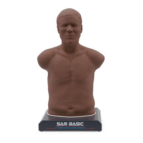 SAM Basic® - Доступный манекен для аускультации взрослых, темная кожа, 1022474, Тренажеры и симуляторы по аускультации