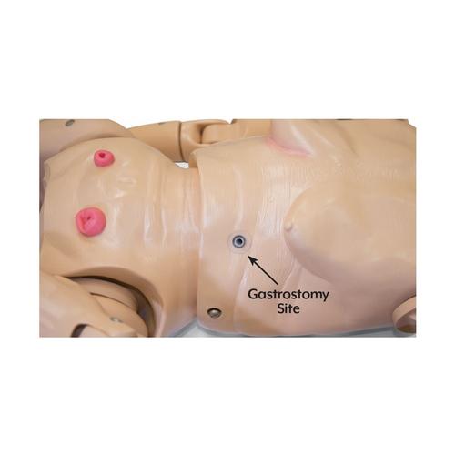 TERi™ Geriatric Patient Skills Trainer - Androgynous trainer for physical skills practice simulation, light skin, 1022932, Catheterization