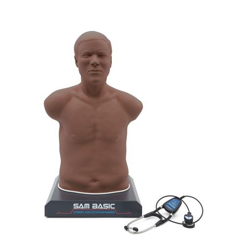 SAM Basic® - Affordable Adult Auscultation Manikin 基础版听诊训练模型, 1023422, 听诊