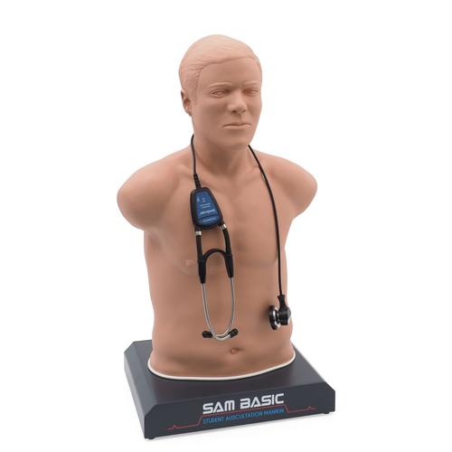 SAM Basic® - Maniquí asequible de auscultación - Adulto con el portátil, pele clara, 1024090, Auscultación