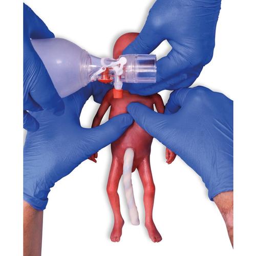 Манекен-имитатор глубоко недоношенного новорожденного / новорожденного с экстремально низкой массой тела, 1024668, Специализированные реанимационные мероприятия (ALS) новорожденного