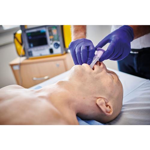 Lifecast Adult Manikin Torso, 1024736, Adult