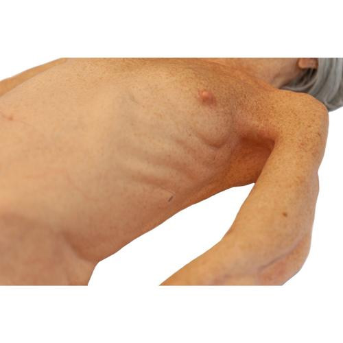 Lifecast Senior (Vivien), 1025081, Adult