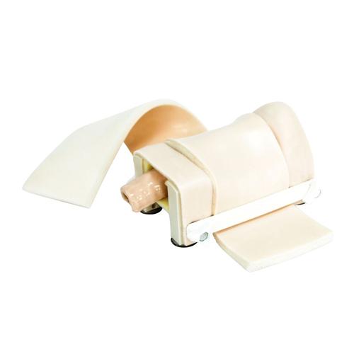 Cricothyroidotomy Simulator, 1025388, Suporte Avançado de Vida em Traumas (SAVT)