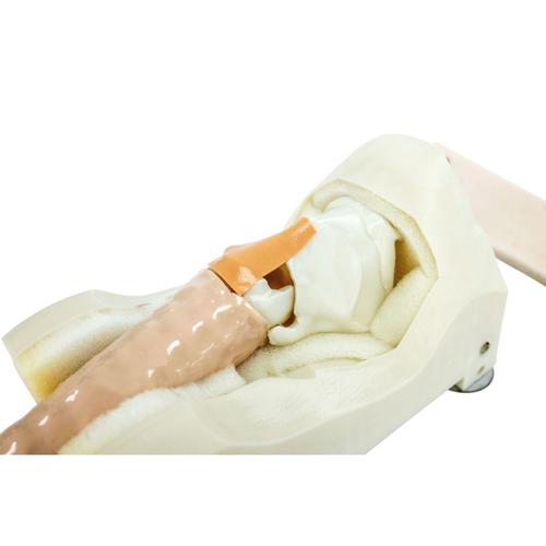 Cricothyroidotomy Simulator, 1025388, Suporte Avançado de Vida em Traumas (SAVT)