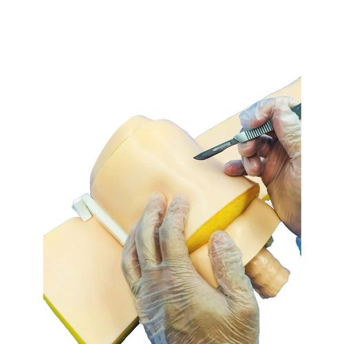 Obese Patient’s Skin for Cricothyroidotomy, 1025391, Adicionais