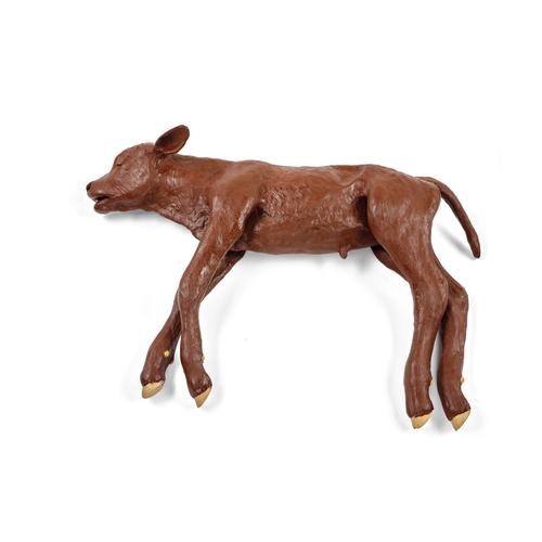 Red Angus Dystocia Calf Model, 1025515, Ersatzteile