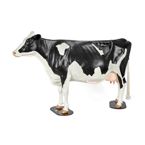 Holstein Dystocia Simulator, 1025528, Simulateurs bovins