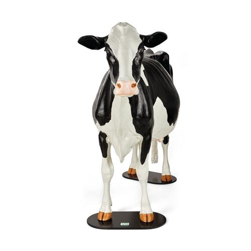 Holstein Dystocia Simulator, 1025528, Simulateurs bovins