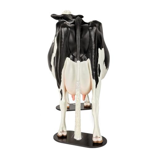 Simulador de Distócia Modelo Holstein, 1025528, Simuladores Bovinos