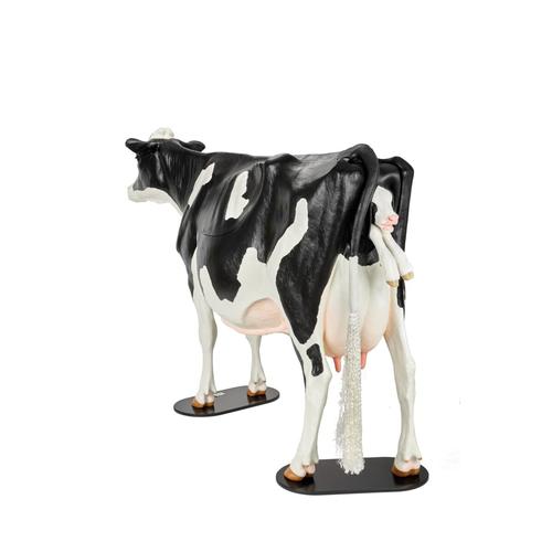 Holstein Dystocia Simulator, 1025528, Bovine Simulators