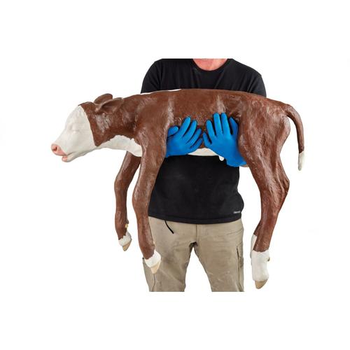 Holstein Dystocia Calf Model, 1025531, Bovine Simulators