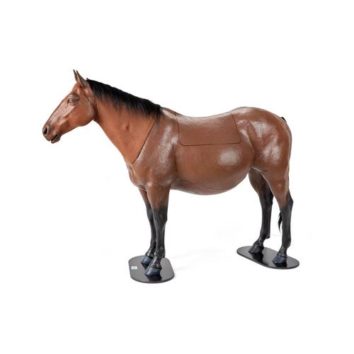 
	
		
			
				Equine Dystocia Simluator with Equine Nasogastric
		
	

, 1025586, Equine Simulators