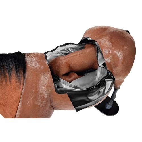 
	
		
			
				Equine Dystocia Simluator with Equine Nasogastric
		
	

, 1025586, Equine Simulators