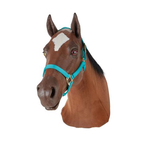 Equine Nasogastric Simulator without Stand, 1025593, Pferdesimulatoren