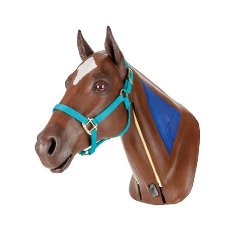 Equine Nasogastric Simulator without Stand, 1025593, Simulateurs équins