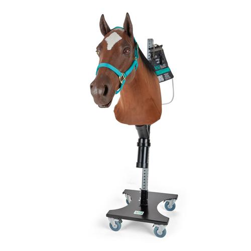 Equine Nasogastric Simulator with rolling stand, 1025594, Equine Simulators