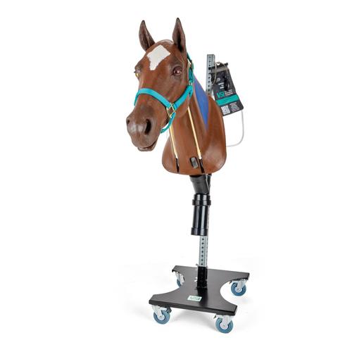 Equine Nasogastric Simulator with rolling stand, 1025594, Simulateurs équins