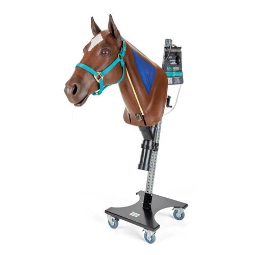 Equine Nasogastric Simulator with rolling stand, 1025594, Ersatzteile