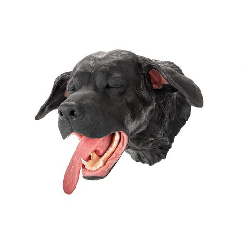 Canine Head - Black, 1025639, Hundesimulatoren