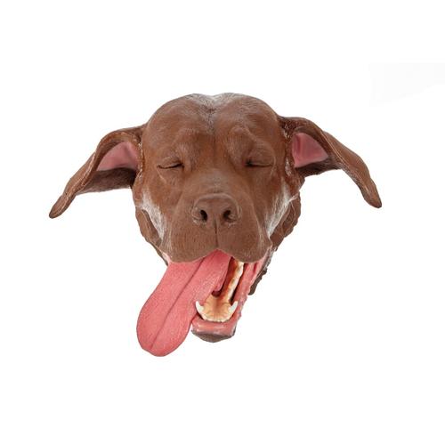 Canine Head - Brown, 1025640, Canine Simulators