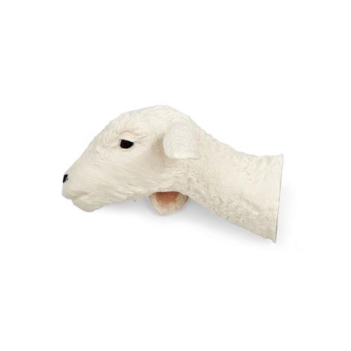 Replaceable Head - 4kg Lamb, 1025654, Euthanasia Training Simulators