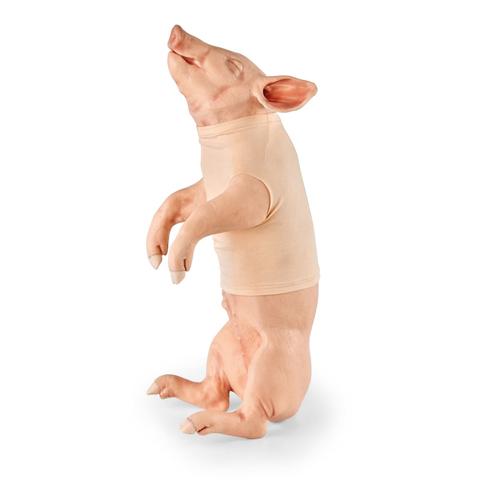 Piglet Restraint and Jugular Blood Draw, 1025662, Simulateurs porcins et ovins