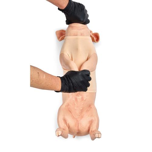 Piglet Restraint and Jugular Blood Draw, 1025662, Swine and Ovis Simulators