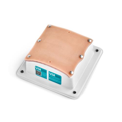 Suture Pad Base Unit, 1025666, Simuladores de caninos