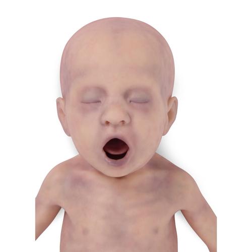 Lifecast Baby V light skin /male, 1026055, Newborn