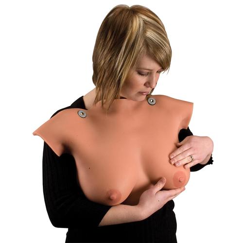 Breast Examination Set, 8000875 [3011613], Ultrasound Skill Trainers