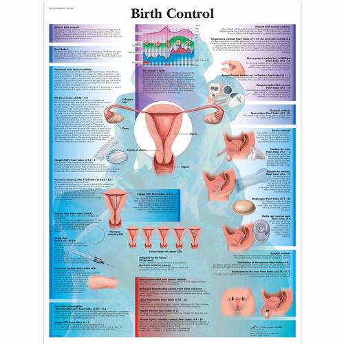 Ensembles de formation à la contraception, Léger , 8000876 [3011614], Kits de simulation