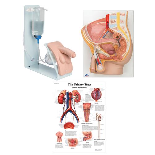 Simulador P65 de injeção na coluna lombar guiada por imagem, 8000898 [3011965], Kits de simulação