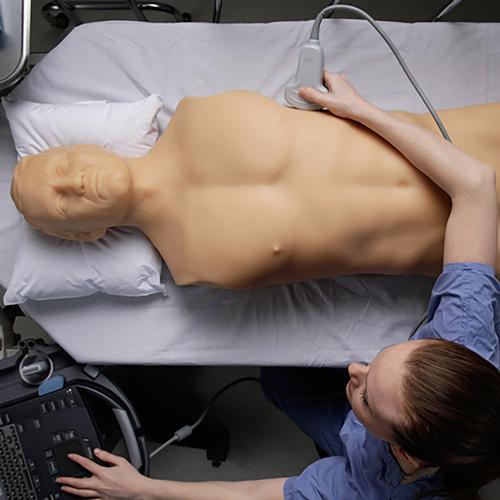Blue Phantom FAST Ultrasound Training Model Includes Full Body Torso, 3012470, Ultrasound Skill Trainers