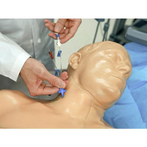 Blue Phantom Gen II - Automated Pump Regional Anesthesia Ultrasound Central Line Training Model, 3012485, Ultrasound Skill Trainers