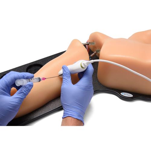 Blue Phantom Gen II PICC with I.V. and Arterial Line Ultrasound Training Model, 3012493, Ultrasound Skill Trainers