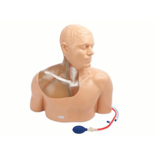 Blue Phantom Gen II Ultrasound Central Line Model with Transparent Insert and Hand Pump Training Model, 3012494, Ultrasound Skill Trainers
