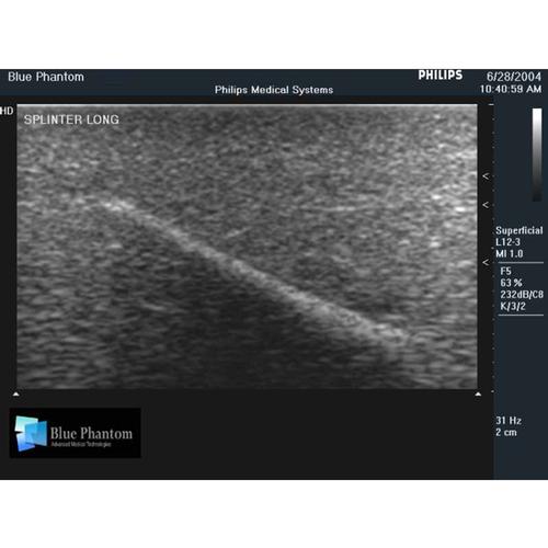 Blue Phantom True Anatomy Series Leg Model with Foreign Body Leg Insert, 3012524, Ultrasound Skill Trainers