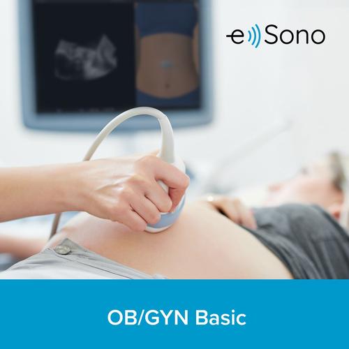 Curso Básico de Ultrasonido Ginecológico y Obstétrico (OB/GYN) de e Sono
Para usuarios finales, 8001270, Cursos e Sono