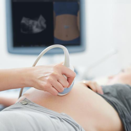 e Sono Gynecological & Obstetric (OB/GYN) Basic Ultrasound Course
For end users, 8001270, e Sono Courses