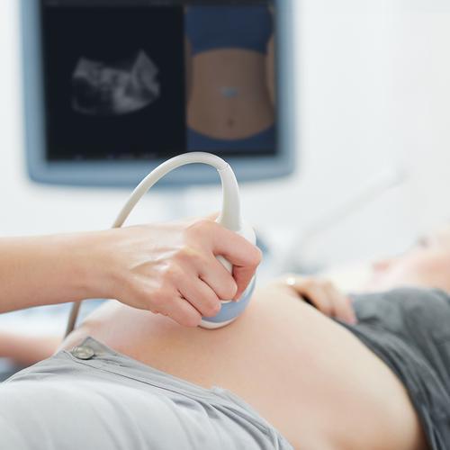 e Sono Gynecological & Obstetric (OB/GYN) Basic Ultrasound Course
For organizations, 8001278, Fixed Content Courses