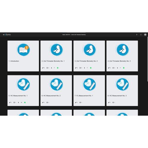 eSono Gynäkologie und Geburtshilfe (OB/GYN) Basis-Ultraschallkurs
Für Organisationen, 8001278, e Sono Plattform für Institutionen