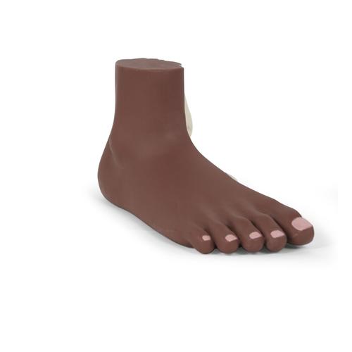 Flat Foot (Pes Planus) Model, dark skin, 1024388 [M31D], Joint Models