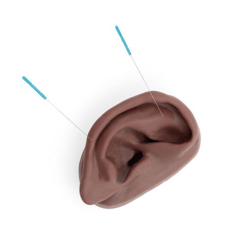 침술 귀모형(오른쪽) Acupuncture Ear, right, dark skin, 1024484 [N15/1RD], 침술 차트 및 모형