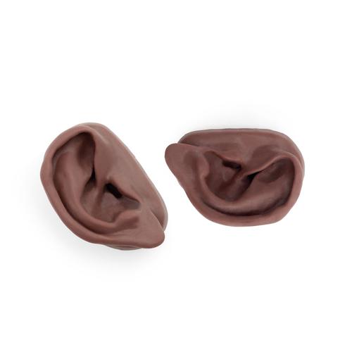 Acupuncture Ear, left and right, dark skin, 1024485 [N15D], Ear Models