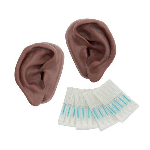 Acupuncture Ears, Set for 10 Students, dark skin, 1024486 [N16D], Ear Models