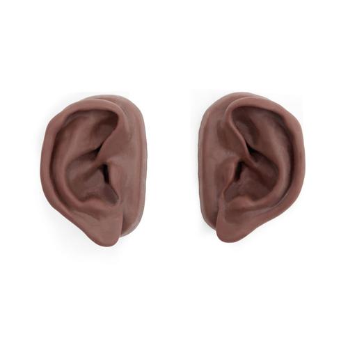 Acupuncture Ears, Set for 10 Students, dark skin, 1024486 [N16D], Acupuncture Charts and Models