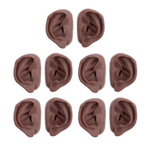 Acupuncture Ears, Set for 10 Students, dark skin, 1024486 [N16D], Acupuncture Charts and Models